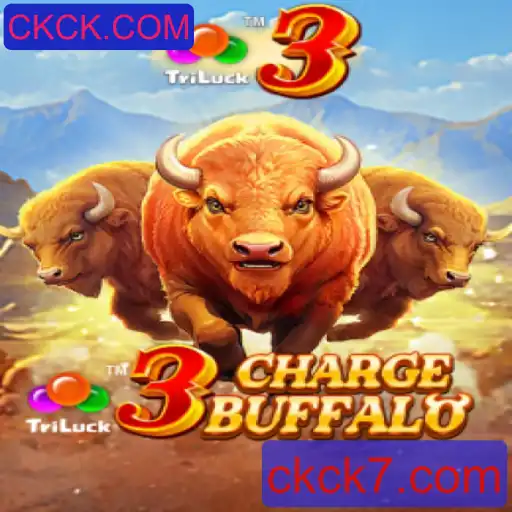 Descubra o Empolgante Mundo de 3ChargeBuffalo